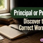 Principal or Principle Discover the Correct Word Fast